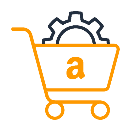 Amazon Store consulting